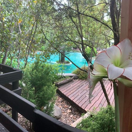 Cabanas Natural Park Lodge Pucón Εξωτερικό φωτογραφία