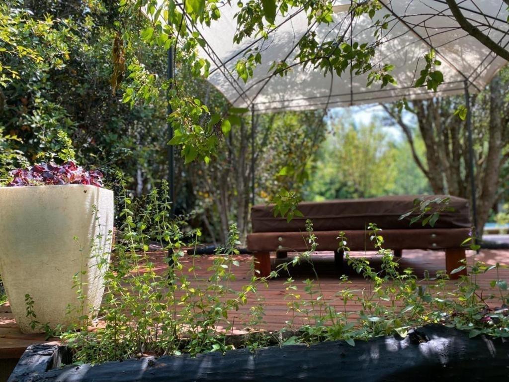 Cabanas Natural Park Lodge Pucón Εξωτερικό φωτογραφία
