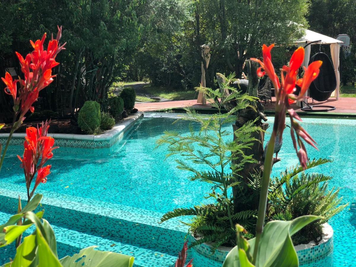 Cabanas Natural Park Lodge Pucón Εξωτερικό φωτογραφία