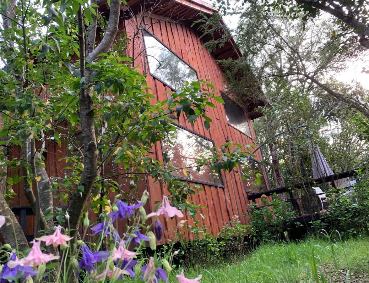 Cabanas Natural Park Lodge Pucón Εξωτερικό φωτογραφία