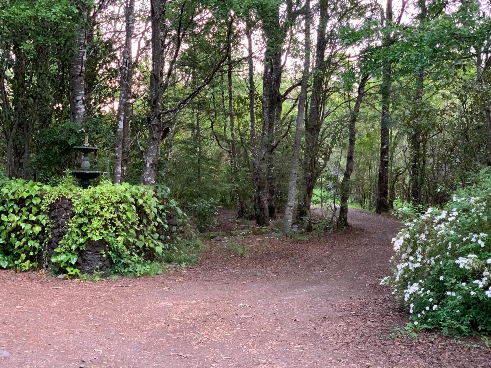 Cabanas Natural Park Lodge Pucón Εξωτερικό φωτογραφία