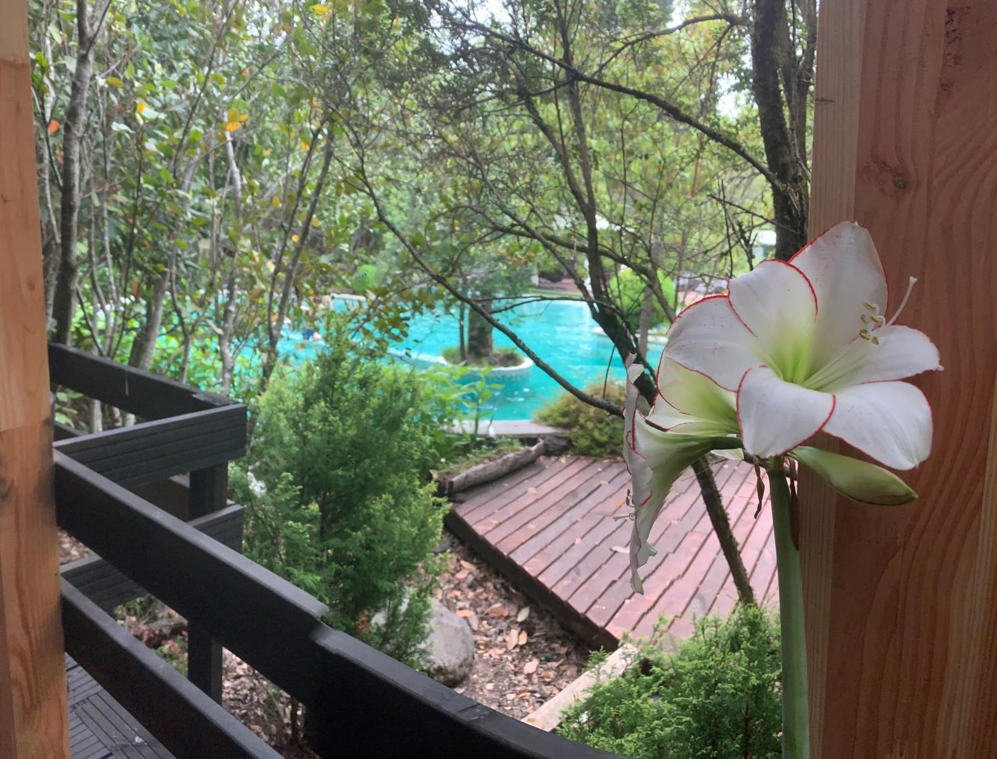 Cabanas Natural Park Lodge Pucón Εξωτερικό φωτογραφία