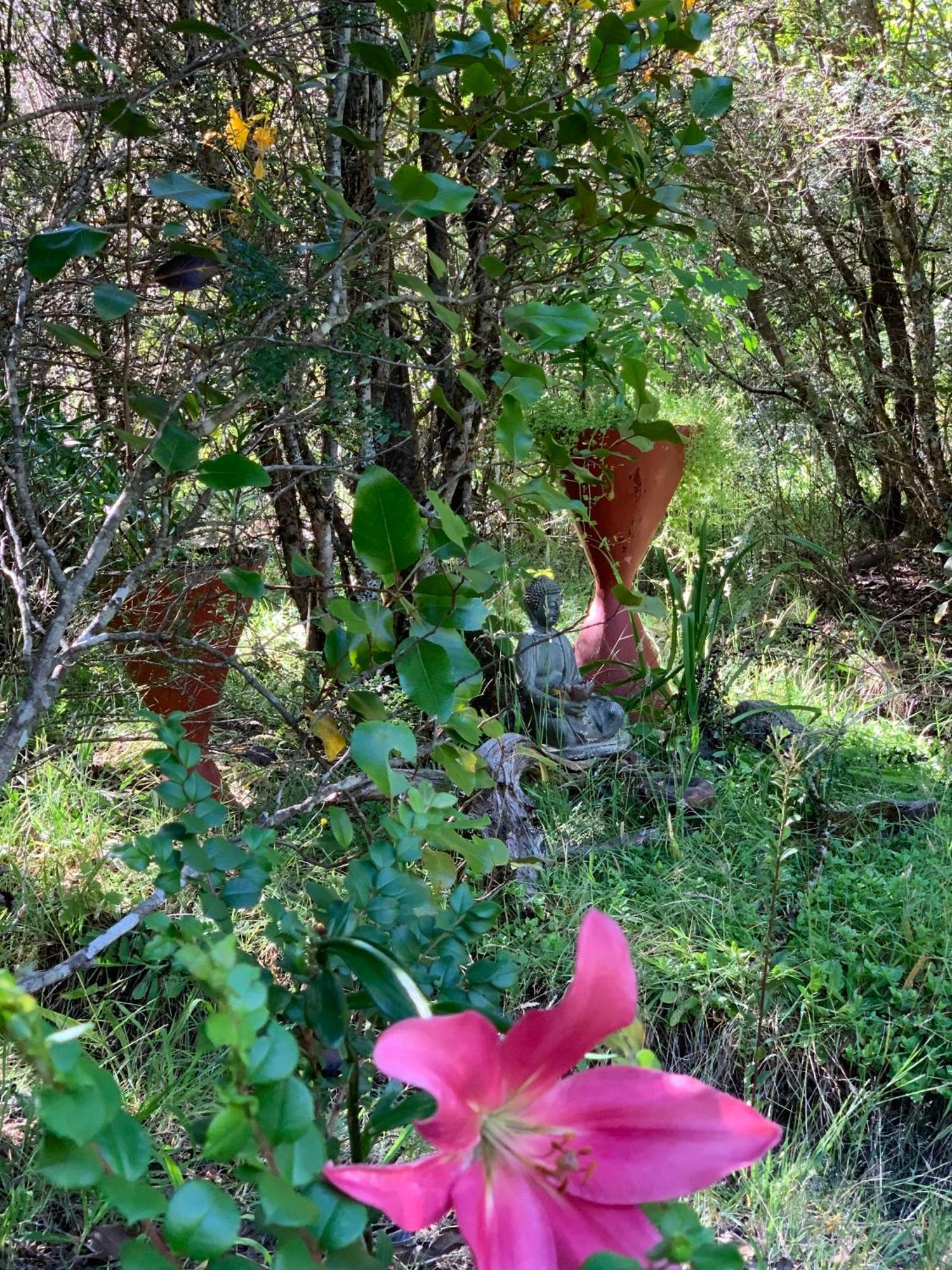 Cabanas Natural Park Lodge Pucón Εξωτερικό φωτογραφία