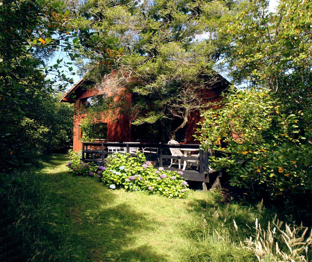 Cabanas Natural Park Lodge Pucón Εξωτερικό φωτογραφία